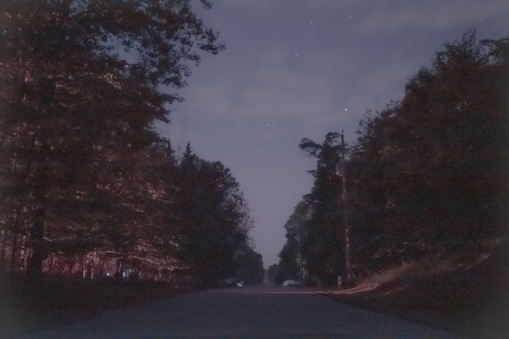 gray asphalt road between green trees during daytime