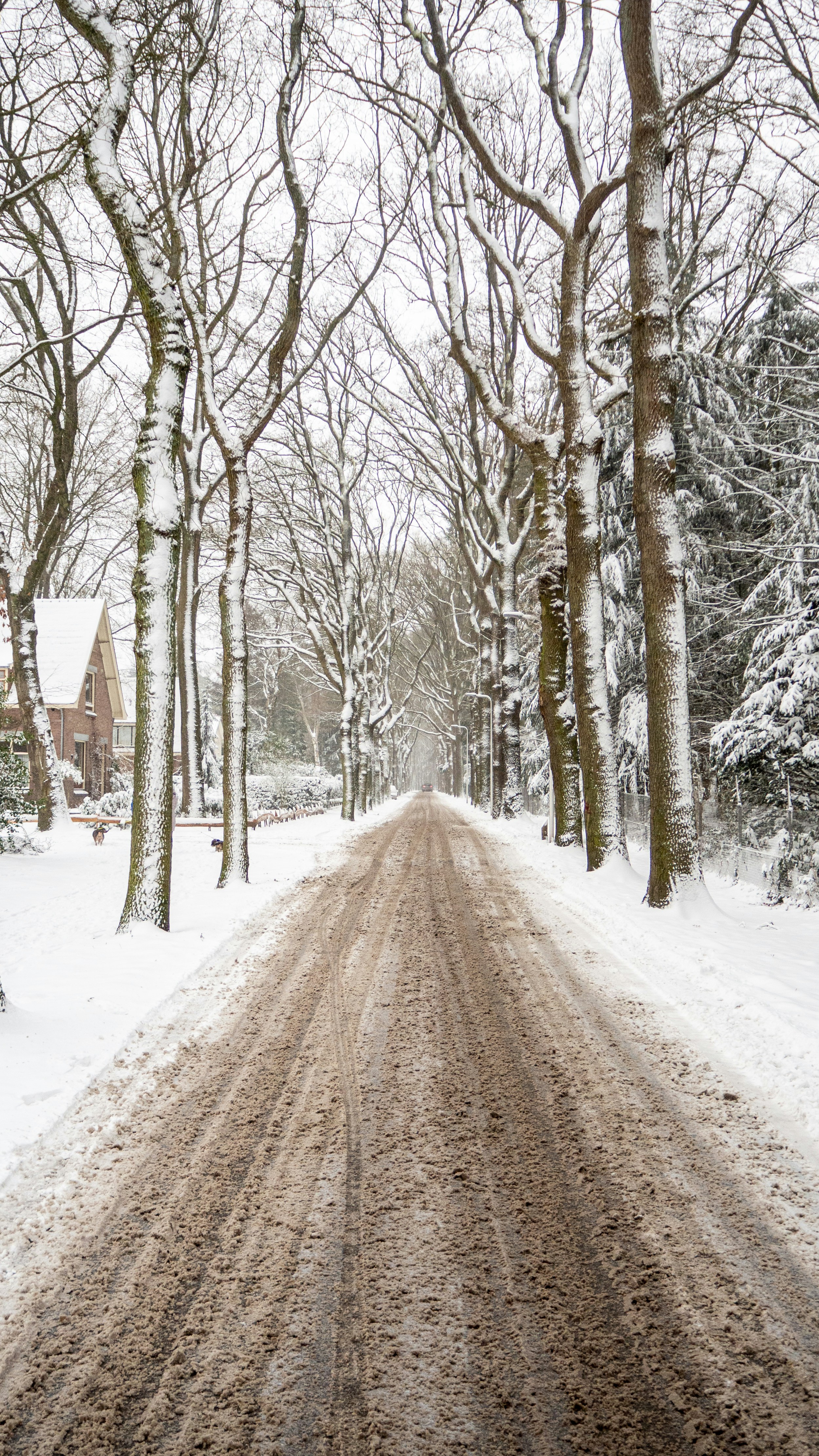 Photo by wimvanteinde