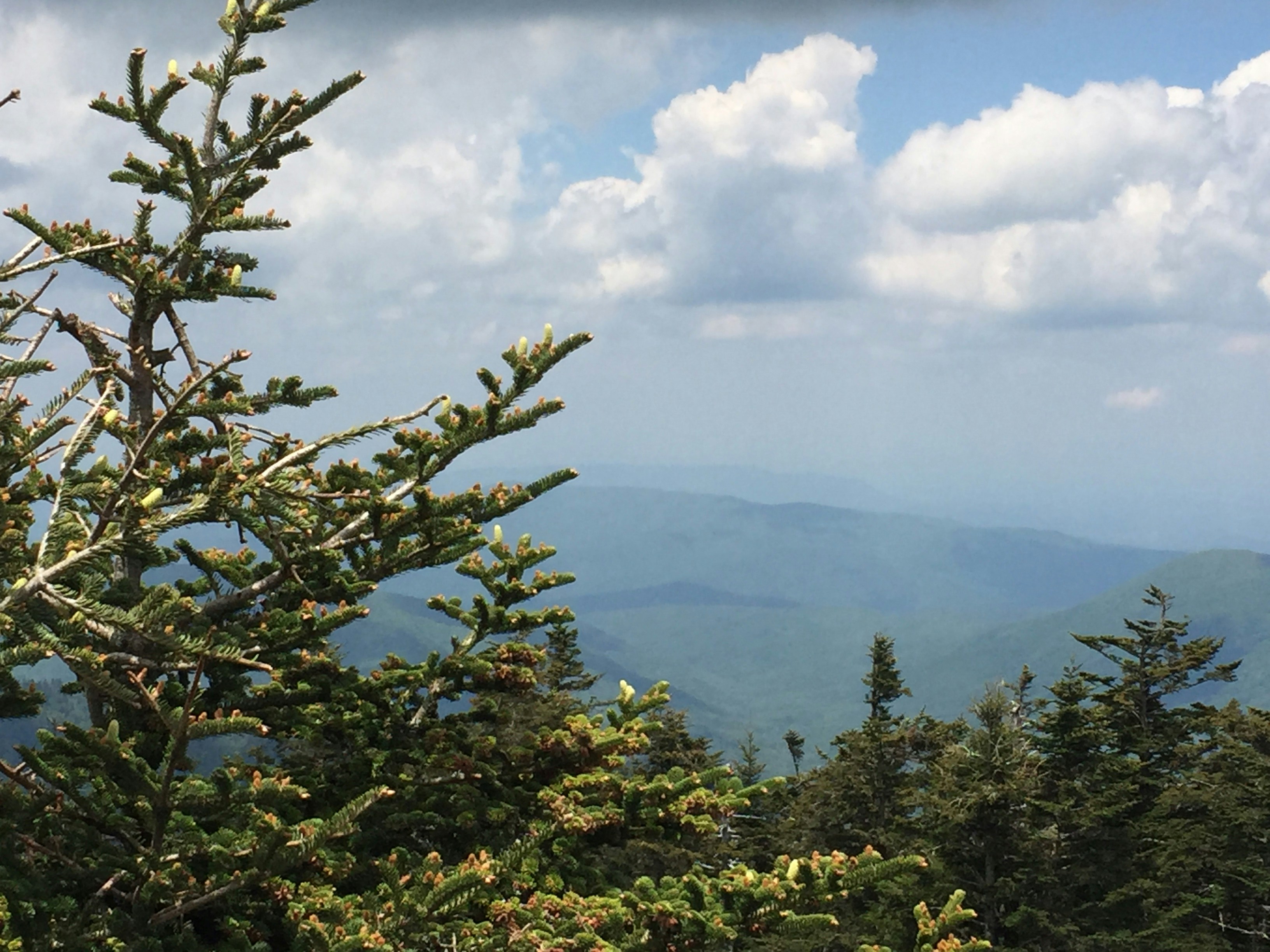 Photo by monkeyseeok