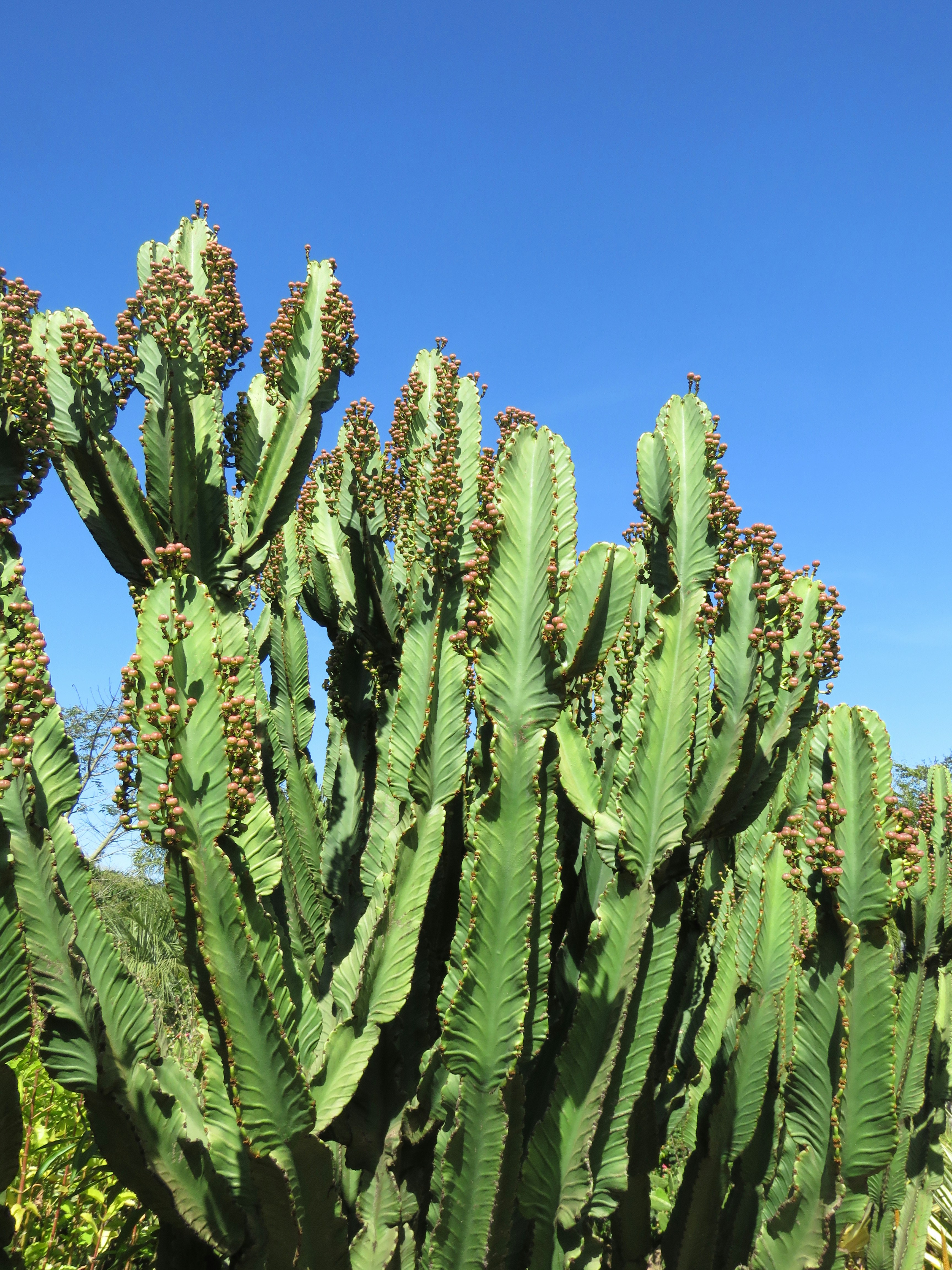 Photo by ceciliaskaf