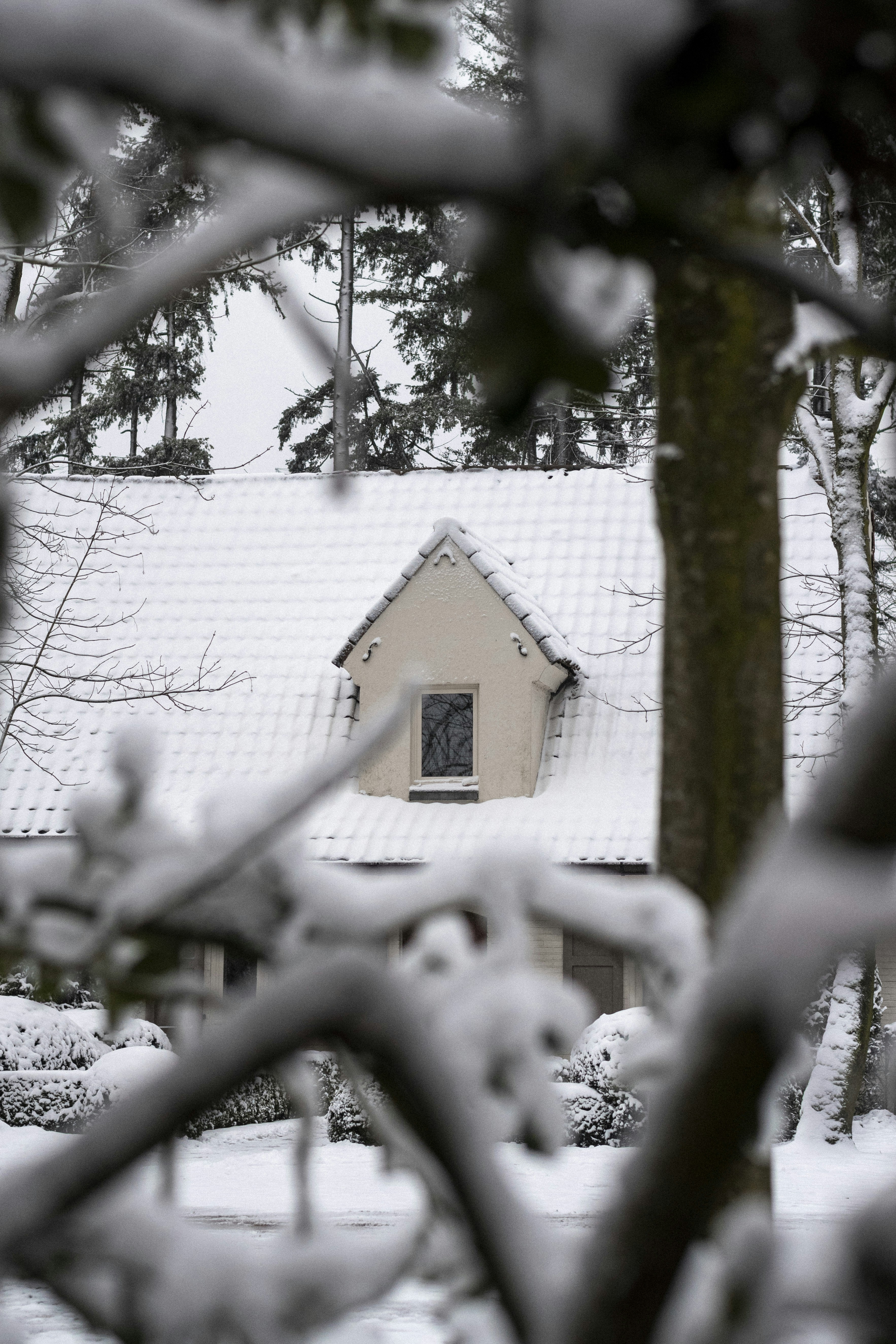 Photo by ricovandevoorde
