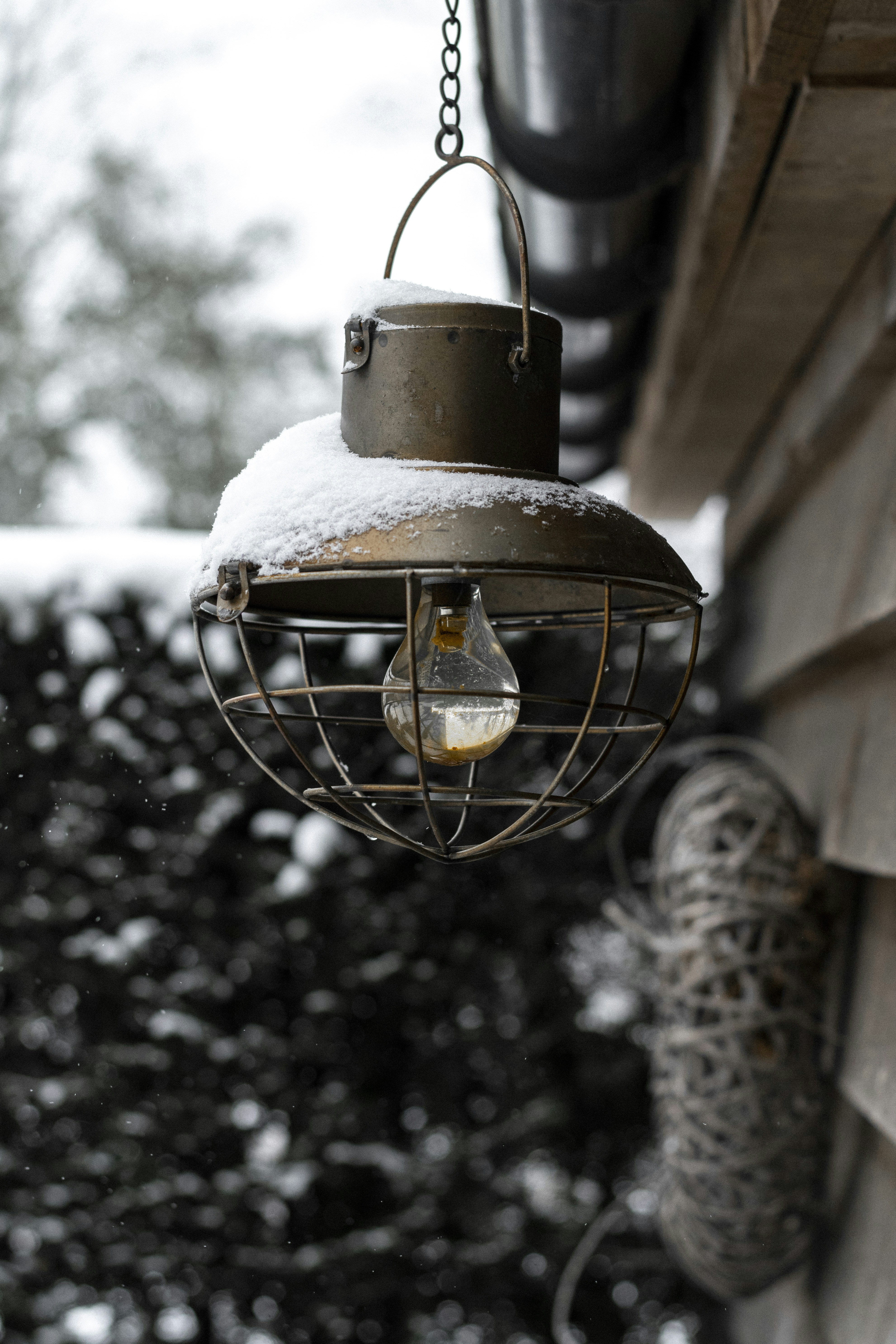 Photo by ricovandevoorde