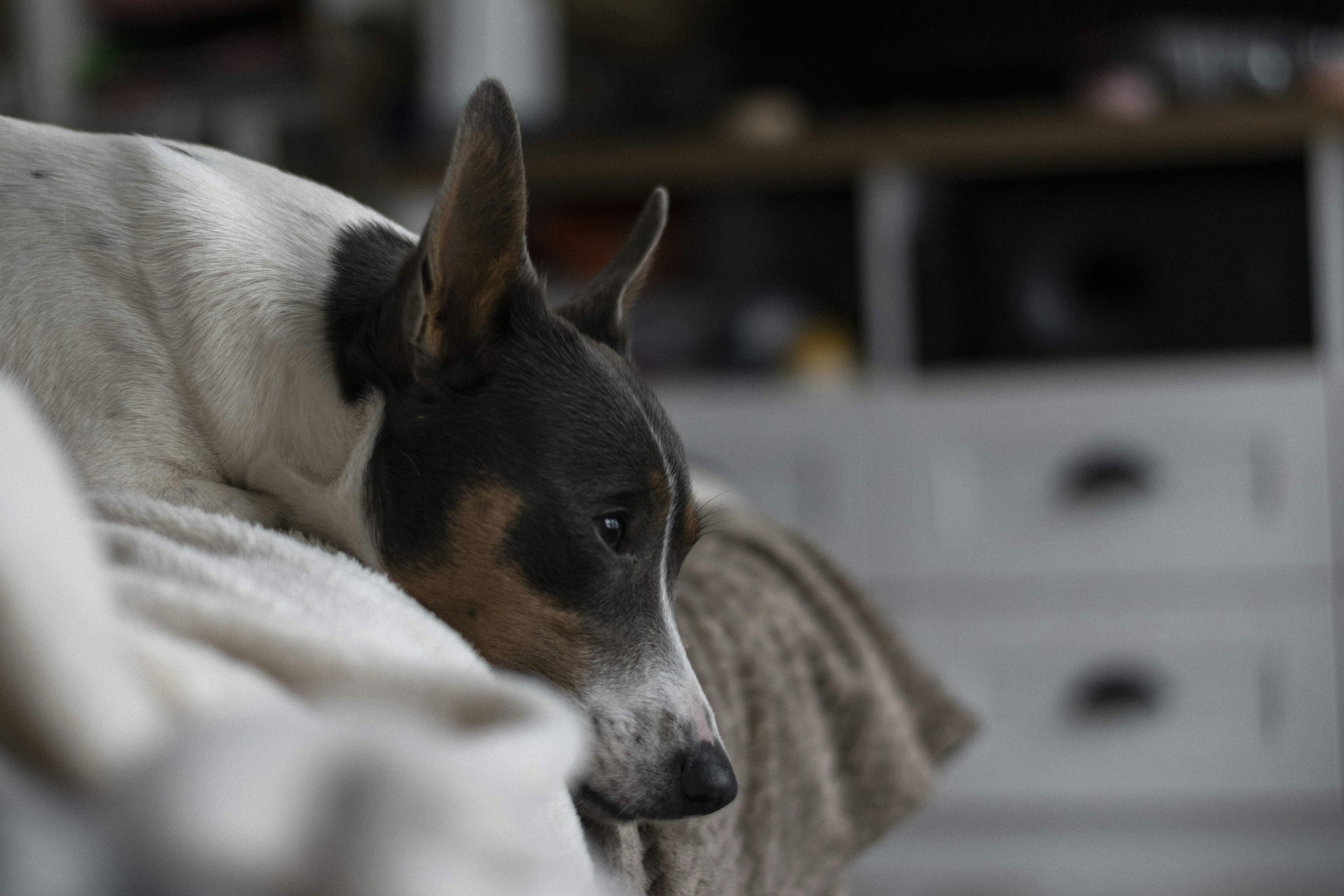 Photo by ricovandevoorde