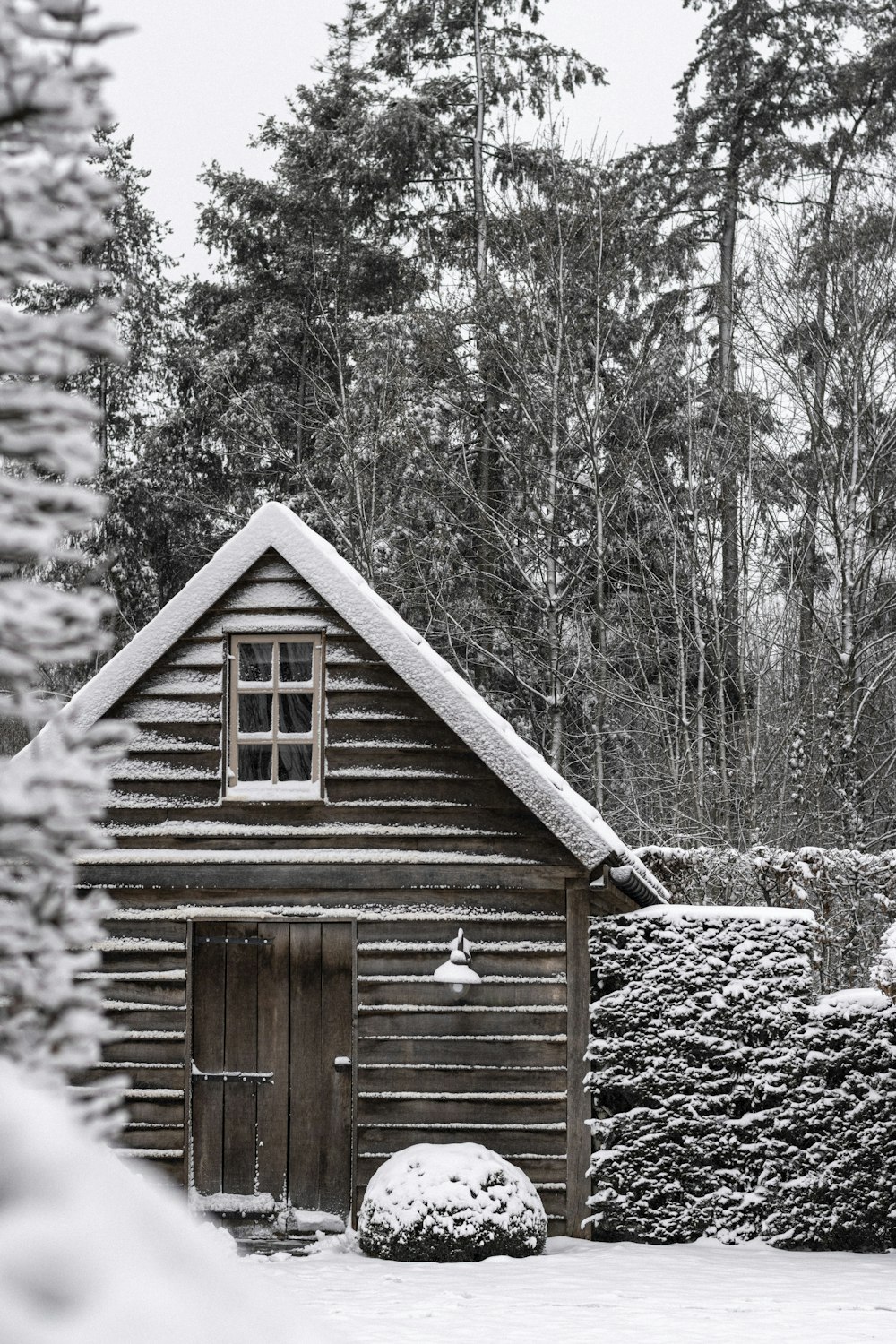 brown wooden house in the woods