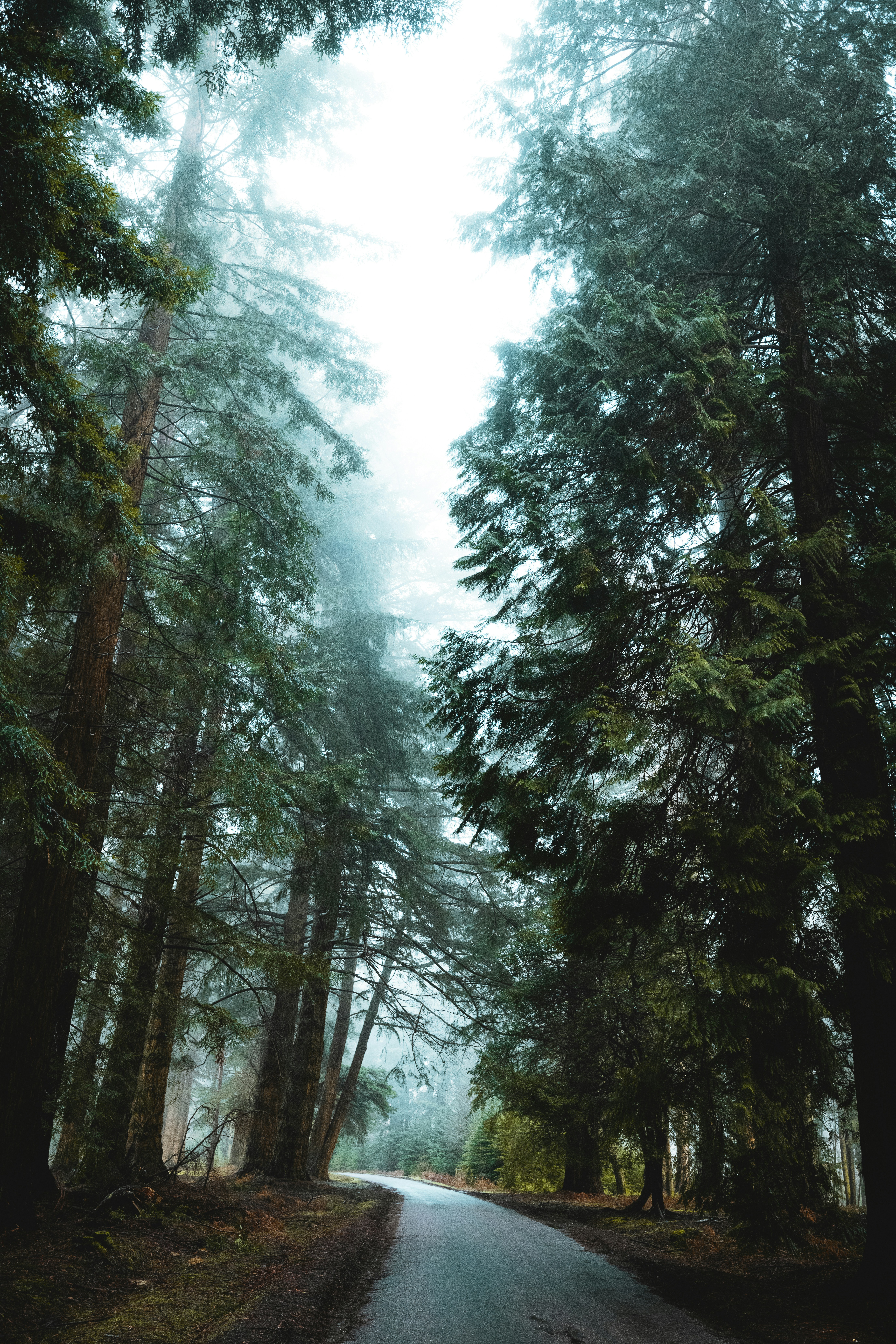 Photo by anniespratt