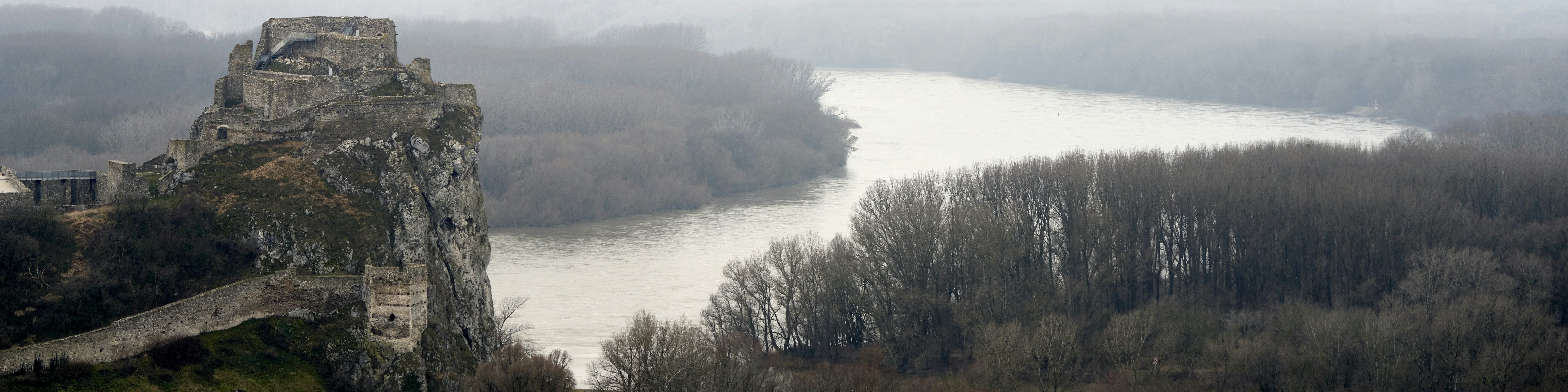 green trees near body of water during daytime