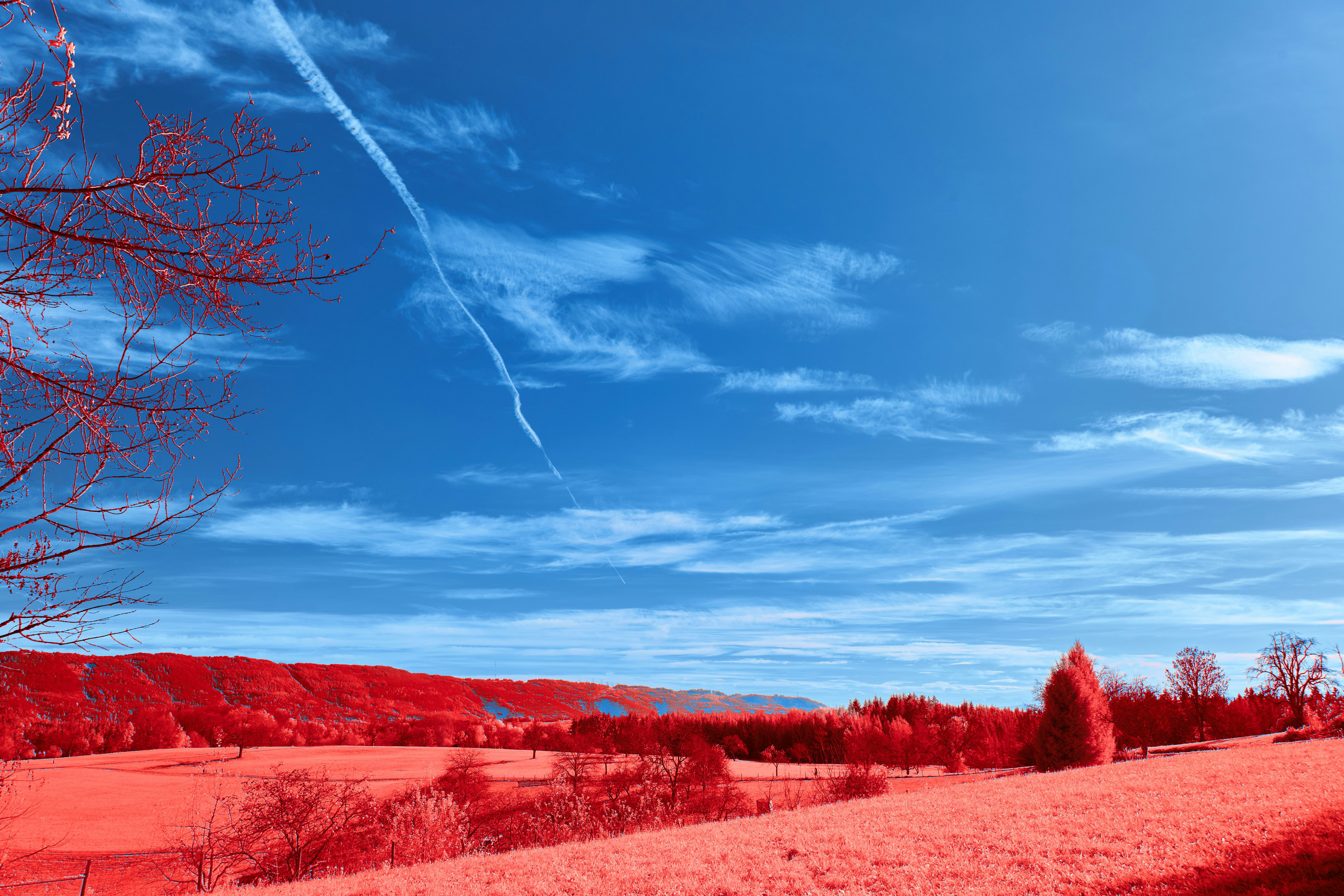 Photo by wolfgang_hasselmann