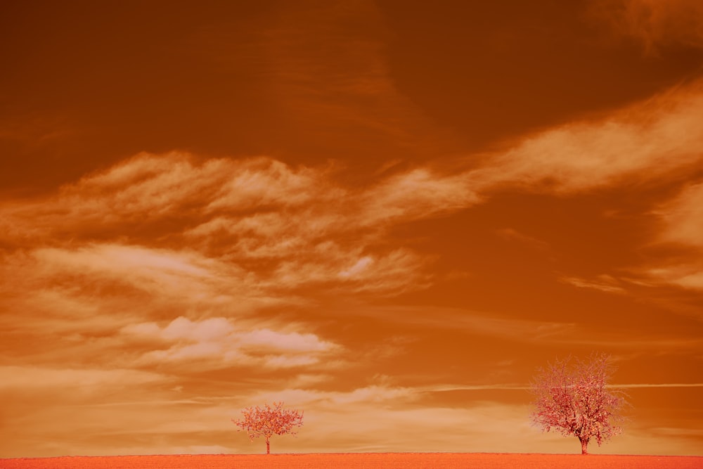 green tree under blue sky