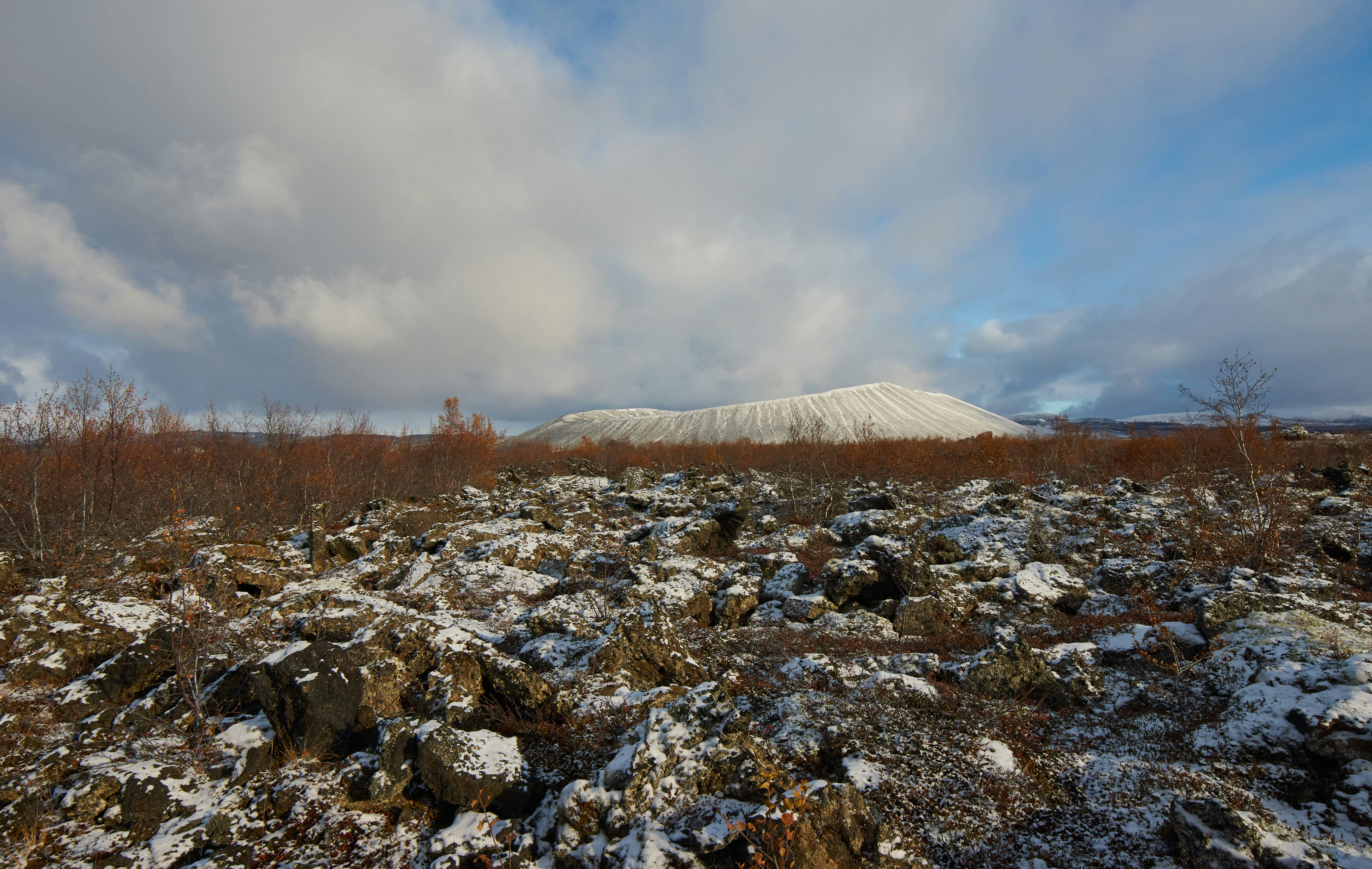 Photo by wolfgang_hasselmann