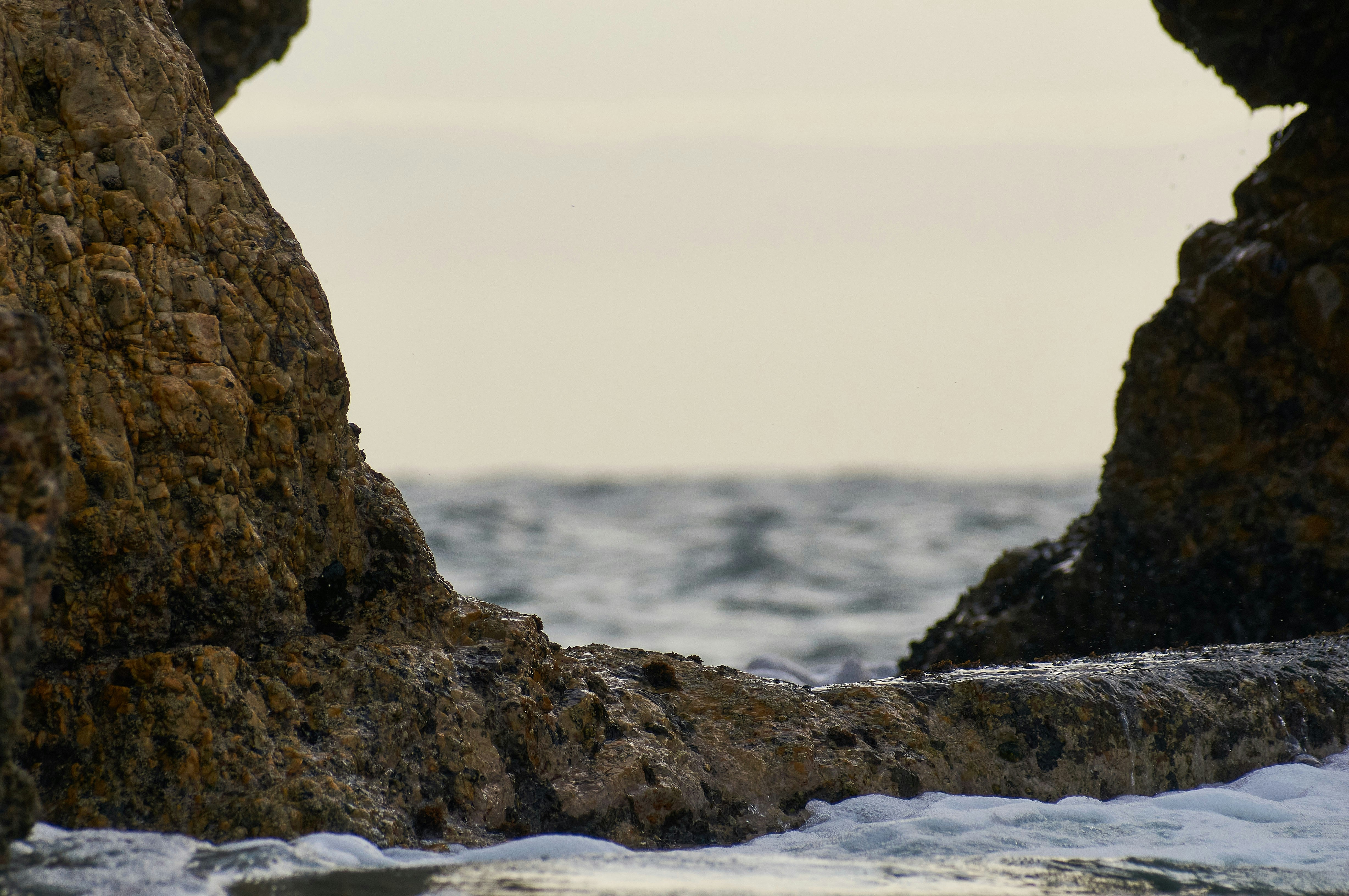 Photo by wolfgang_hasselmann