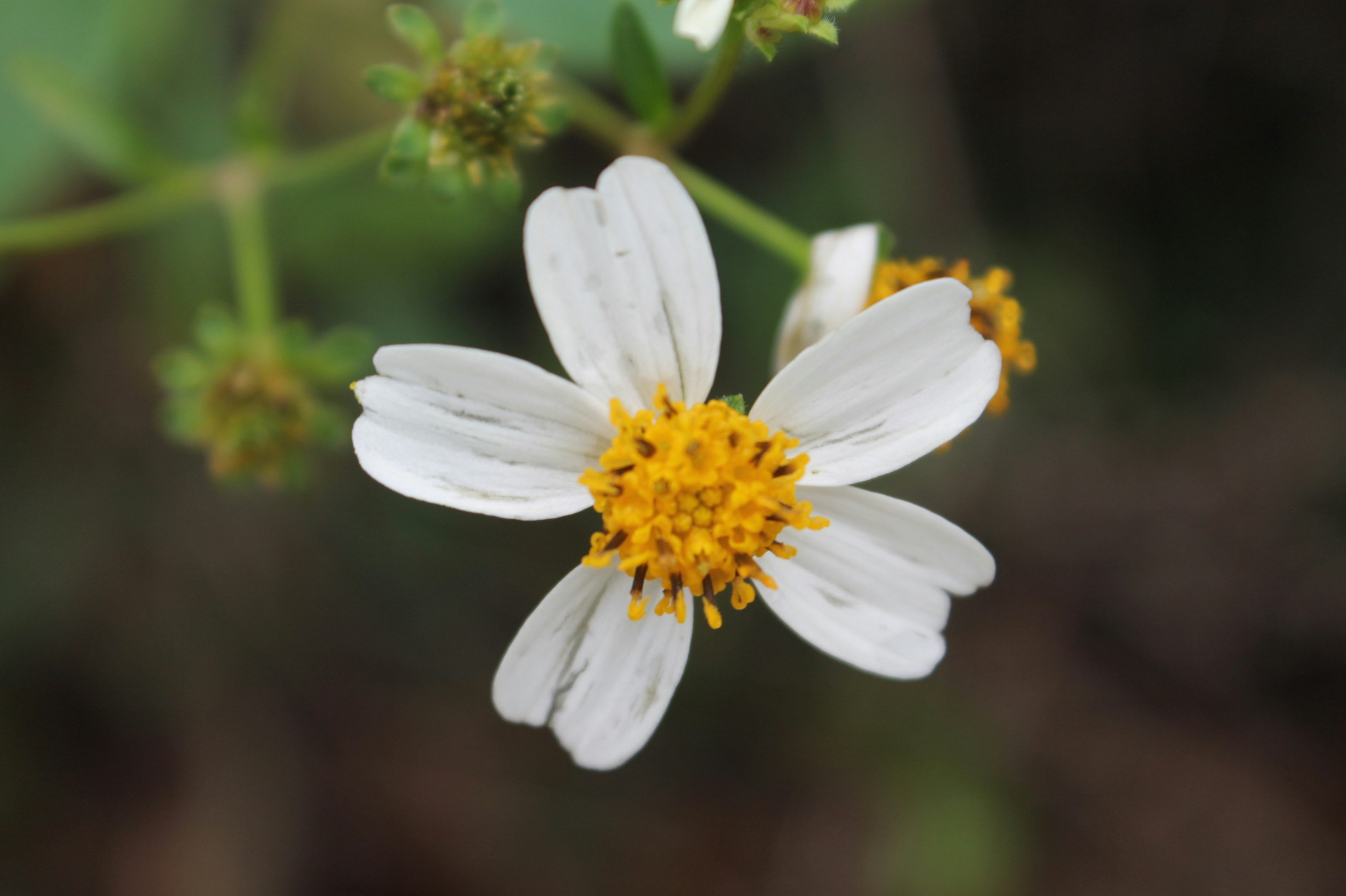 Photo by jlmurray5478