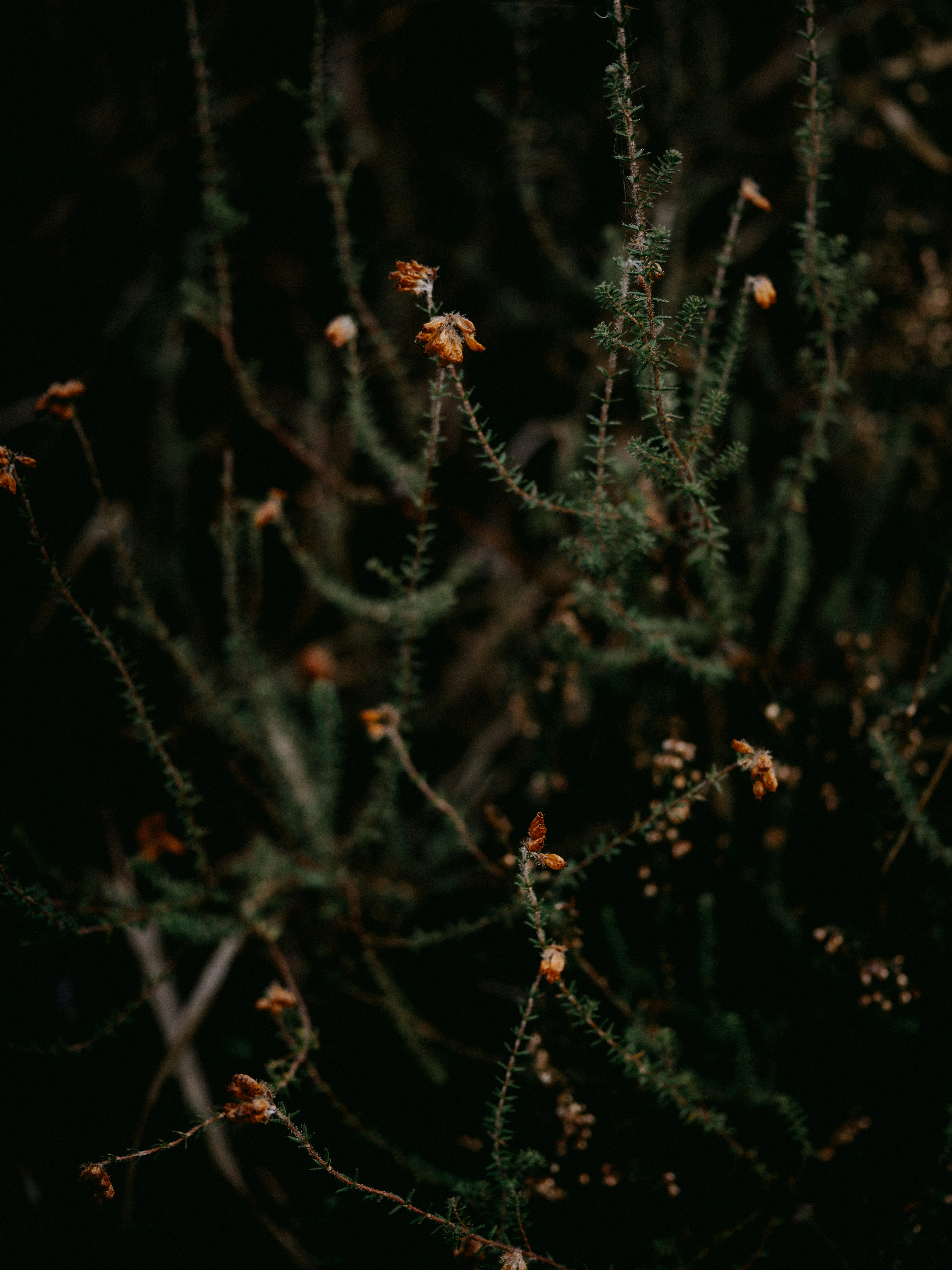 Photo by anniespratt