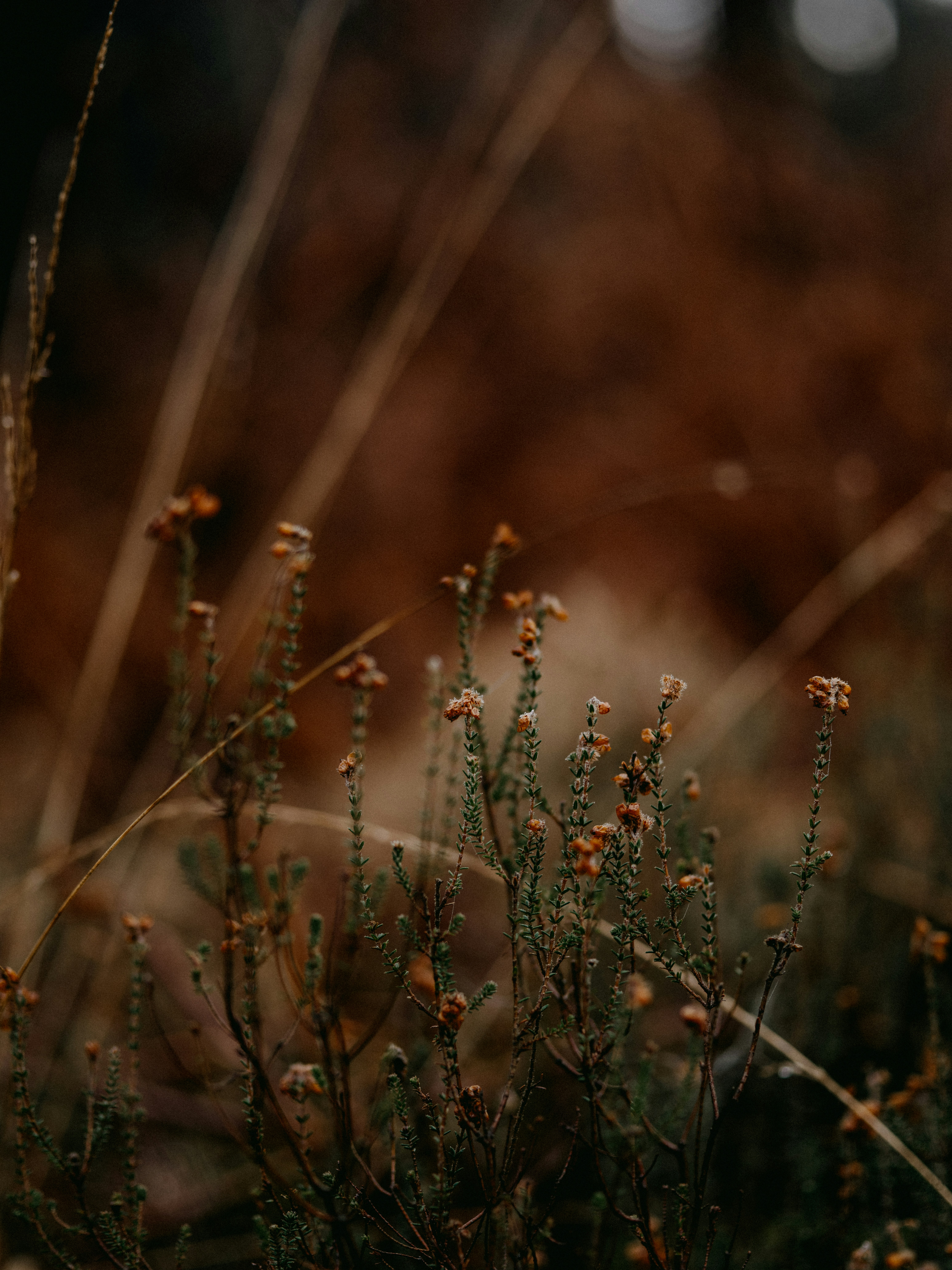 Photo by anniespratt