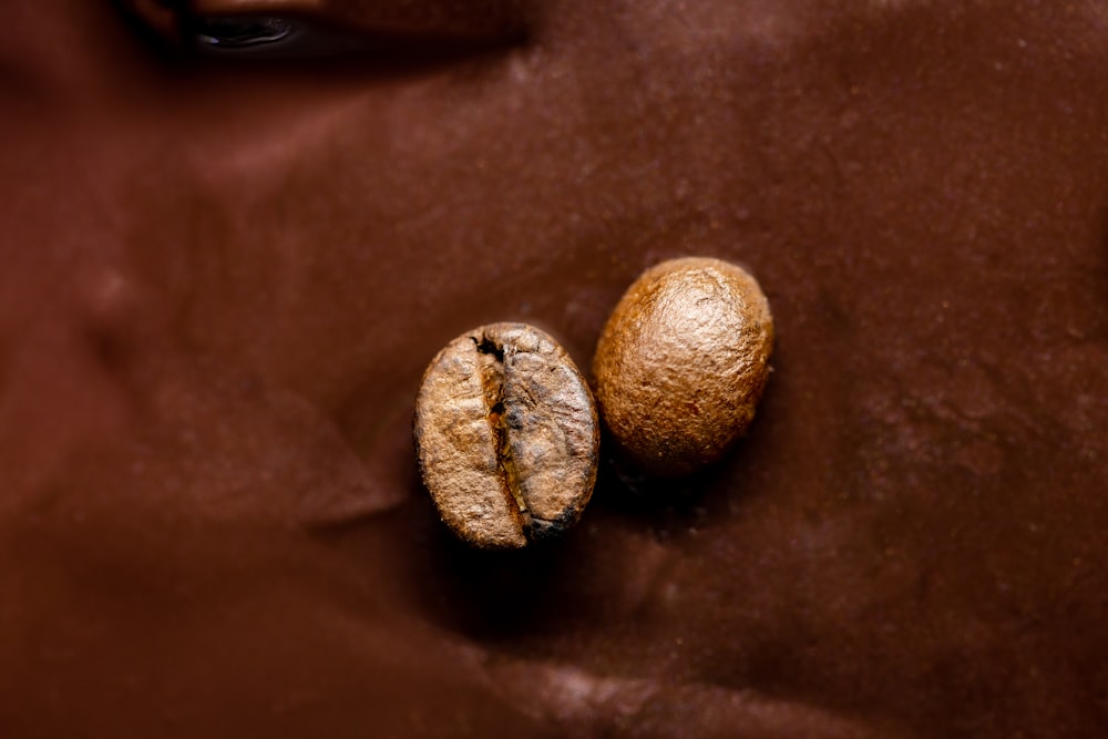 2 brown round fruits on brown leather textile
