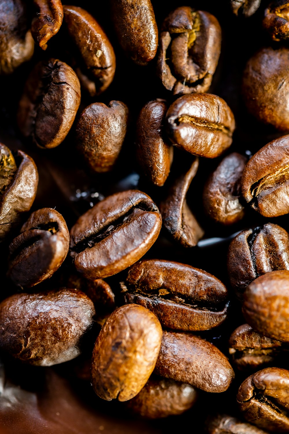 接写の茶色のコーヒー豆