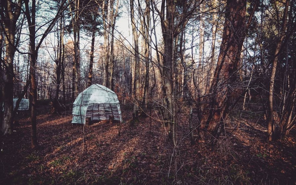 white and gray tent in the middle of the forest