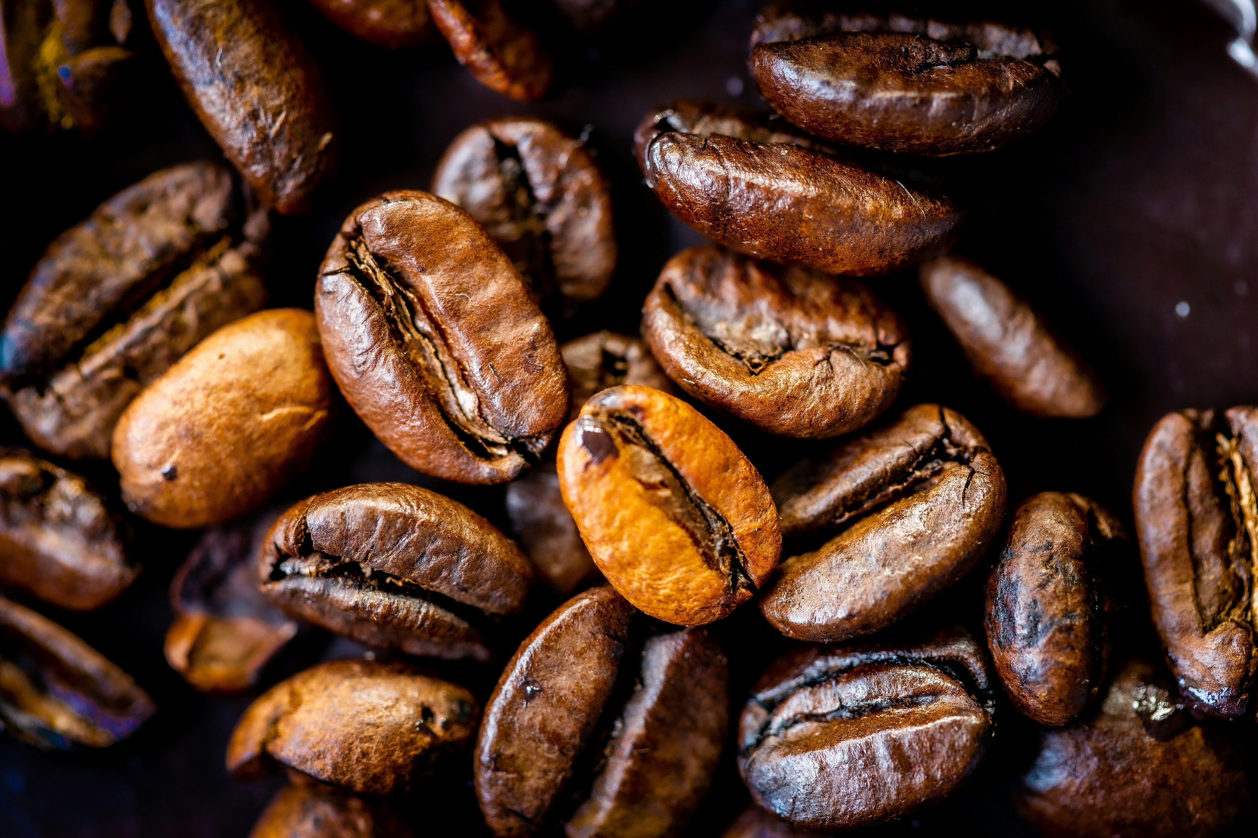 Photo by solenfeyissa