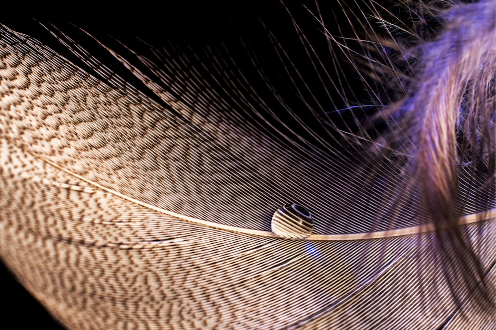 blue and white light in the middle of brown sand