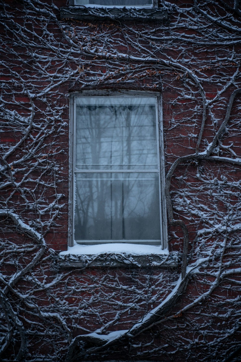 white wooden framed glass window