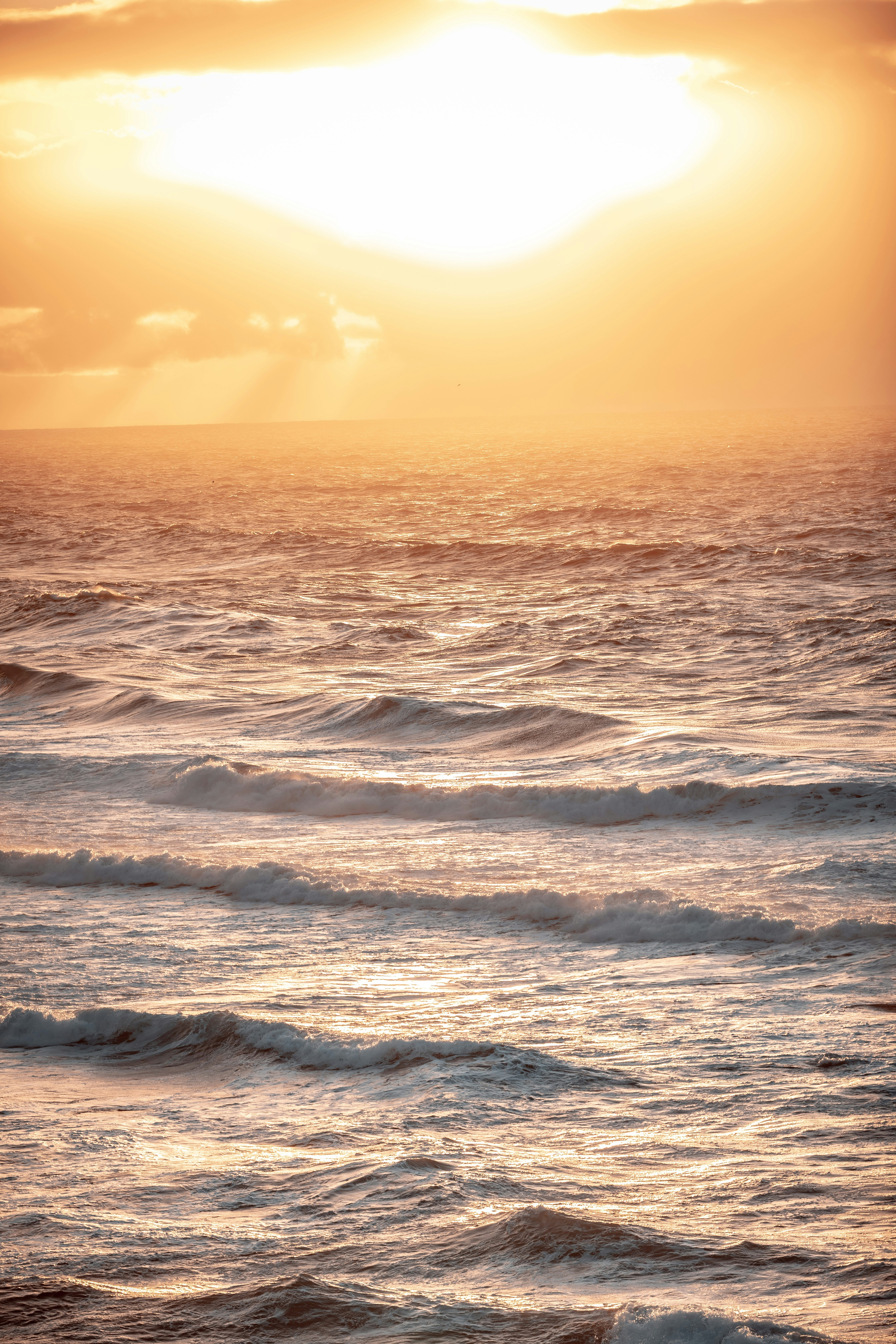 Photo by janoschphotos