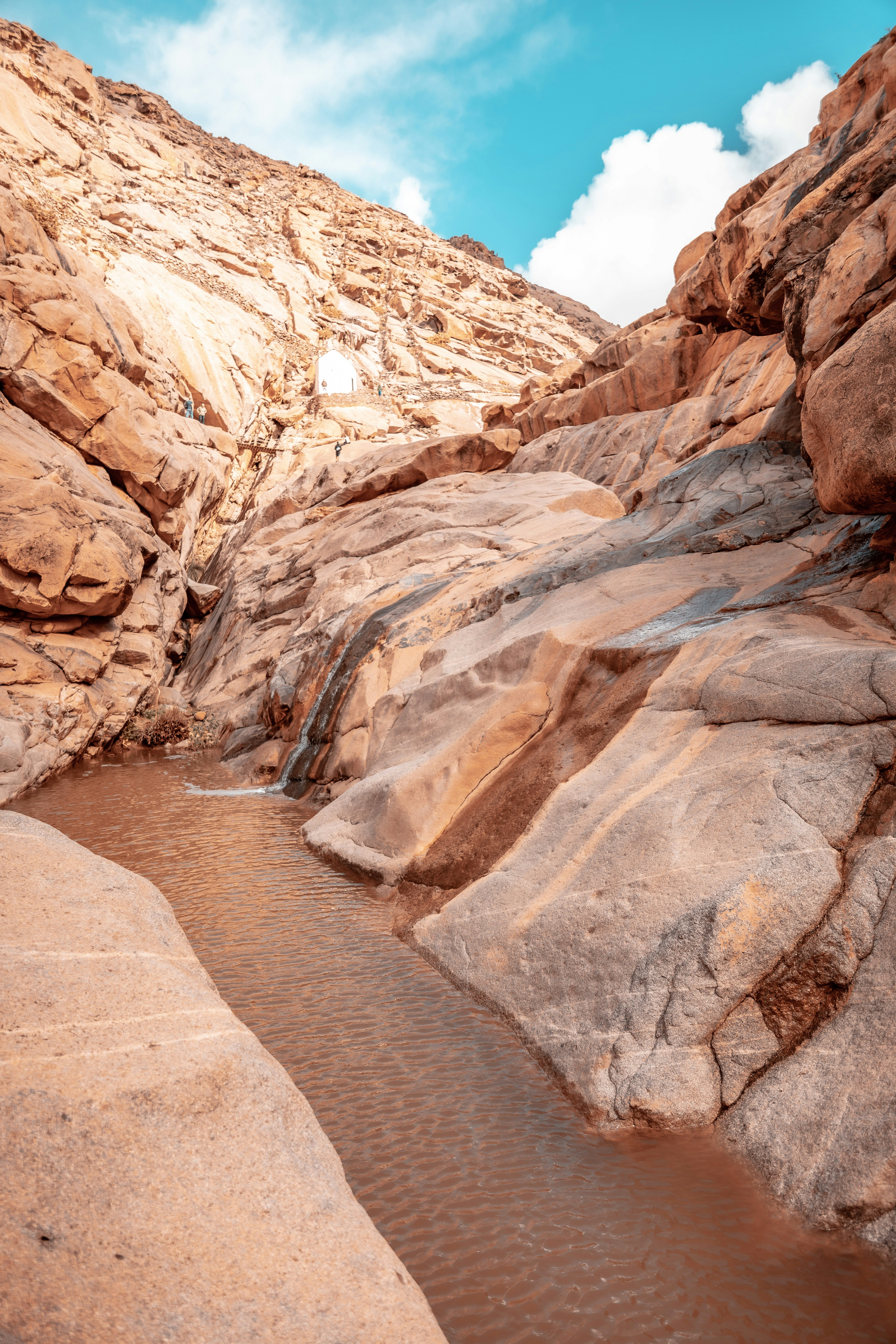 Photo by janoschphotos