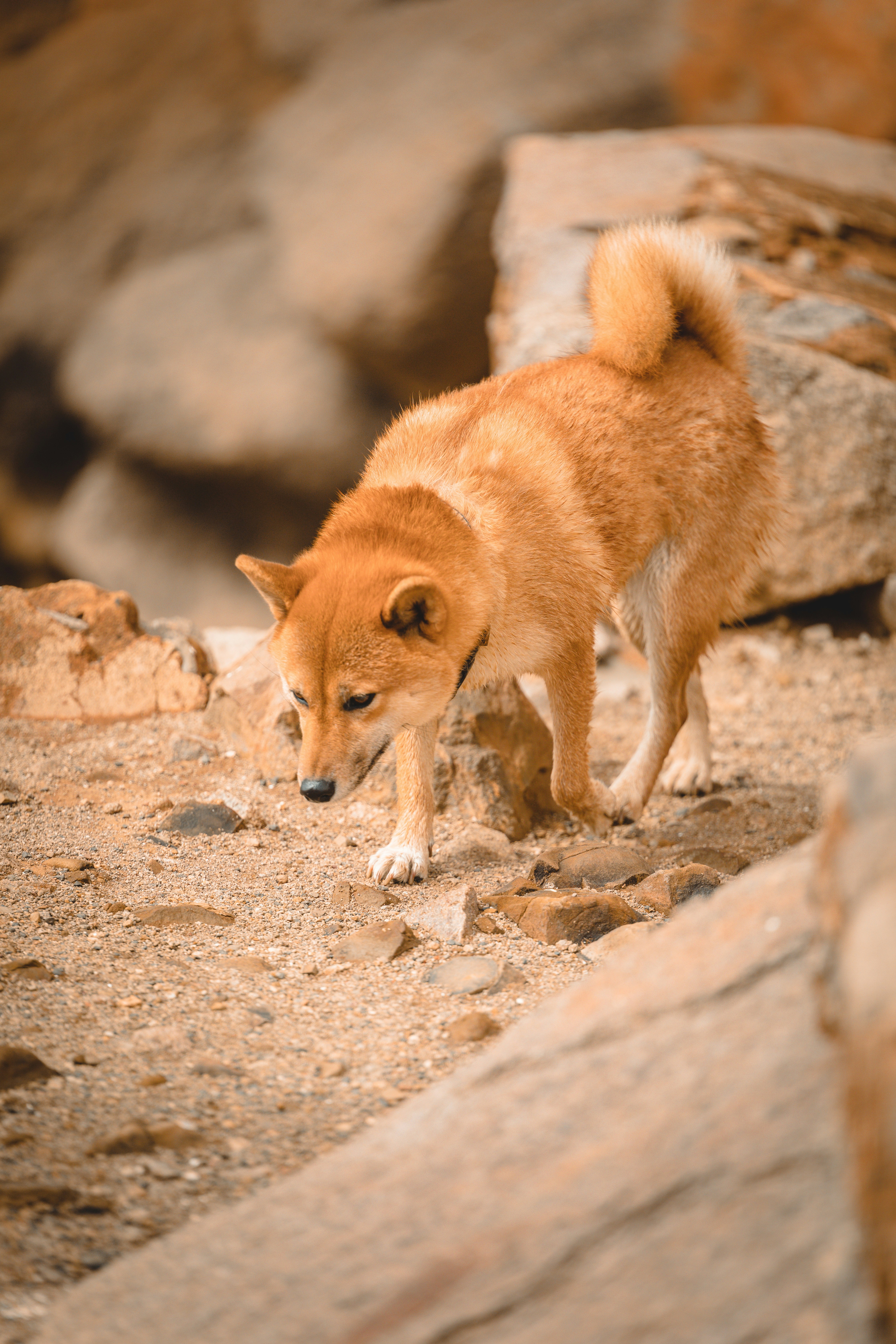 Photo by janoschphotos