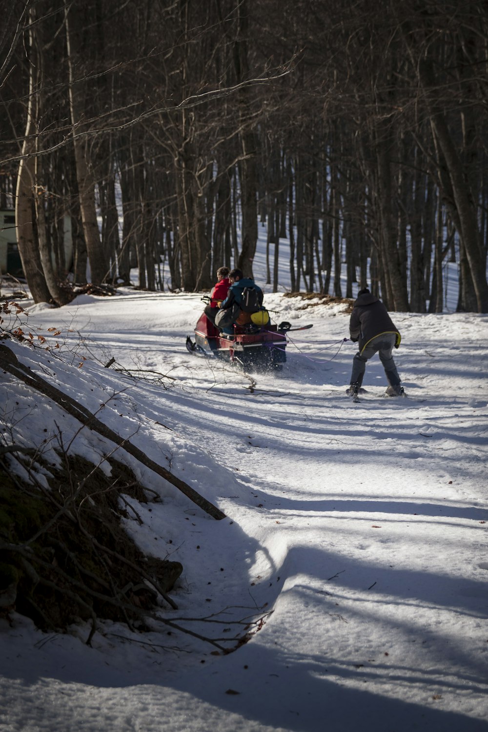 昼間、雪に覆われた地面でスキーリフトに乗る人々