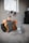 A homemade robot model resembling a character from a popular animated movie is placed on a carpeted floor inside a room. The robot is constructed from cardboard and other recycled materials, with large expressive eyes and grey hands. There is a window in the background letting in natural light.