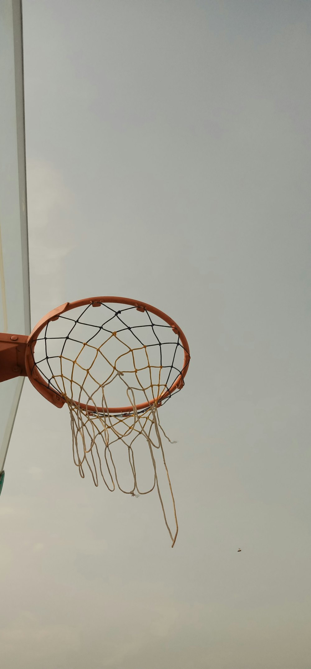 brown and white basketball hoop