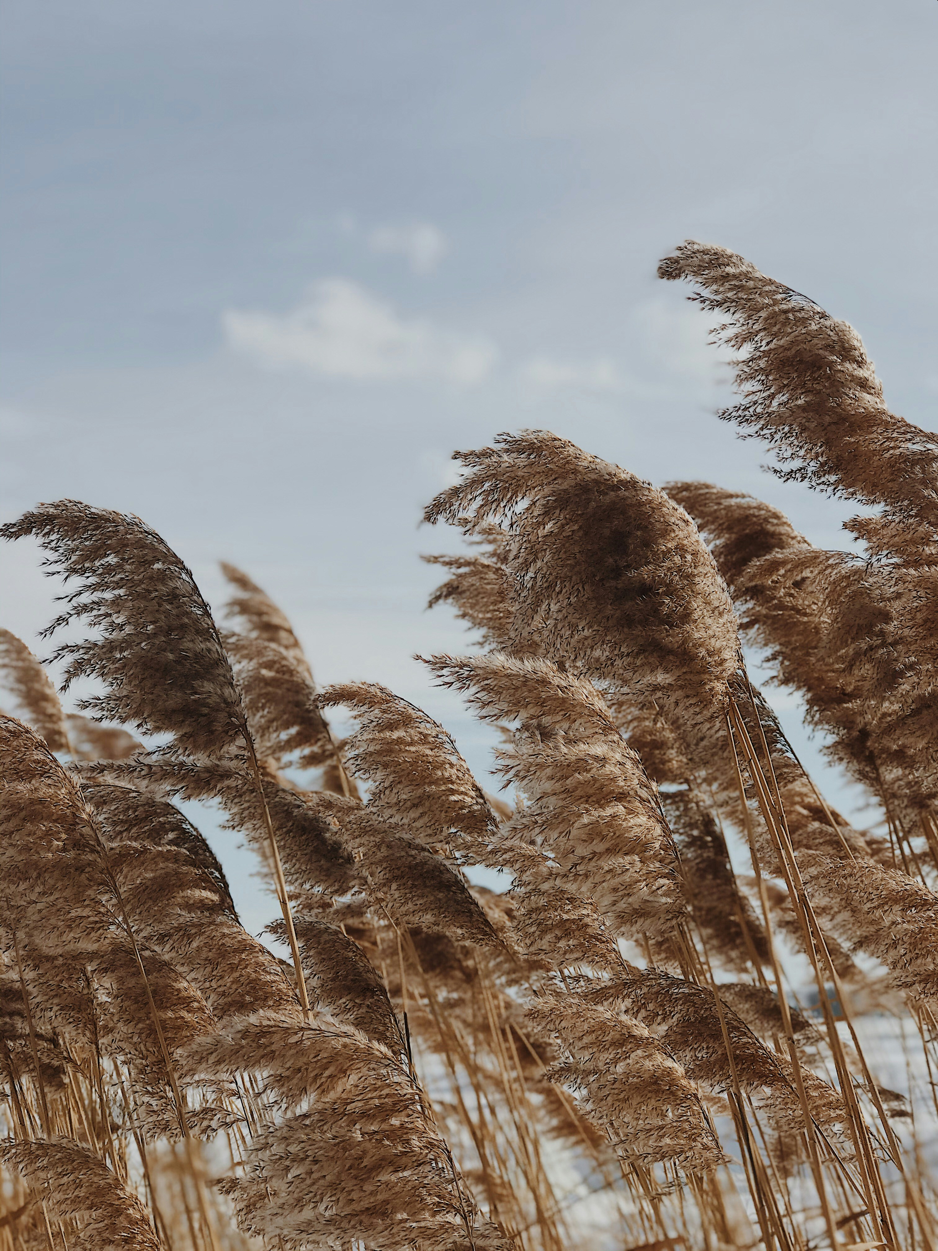 Photo by cloefontaine