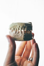 person holding brown and white round ornament
