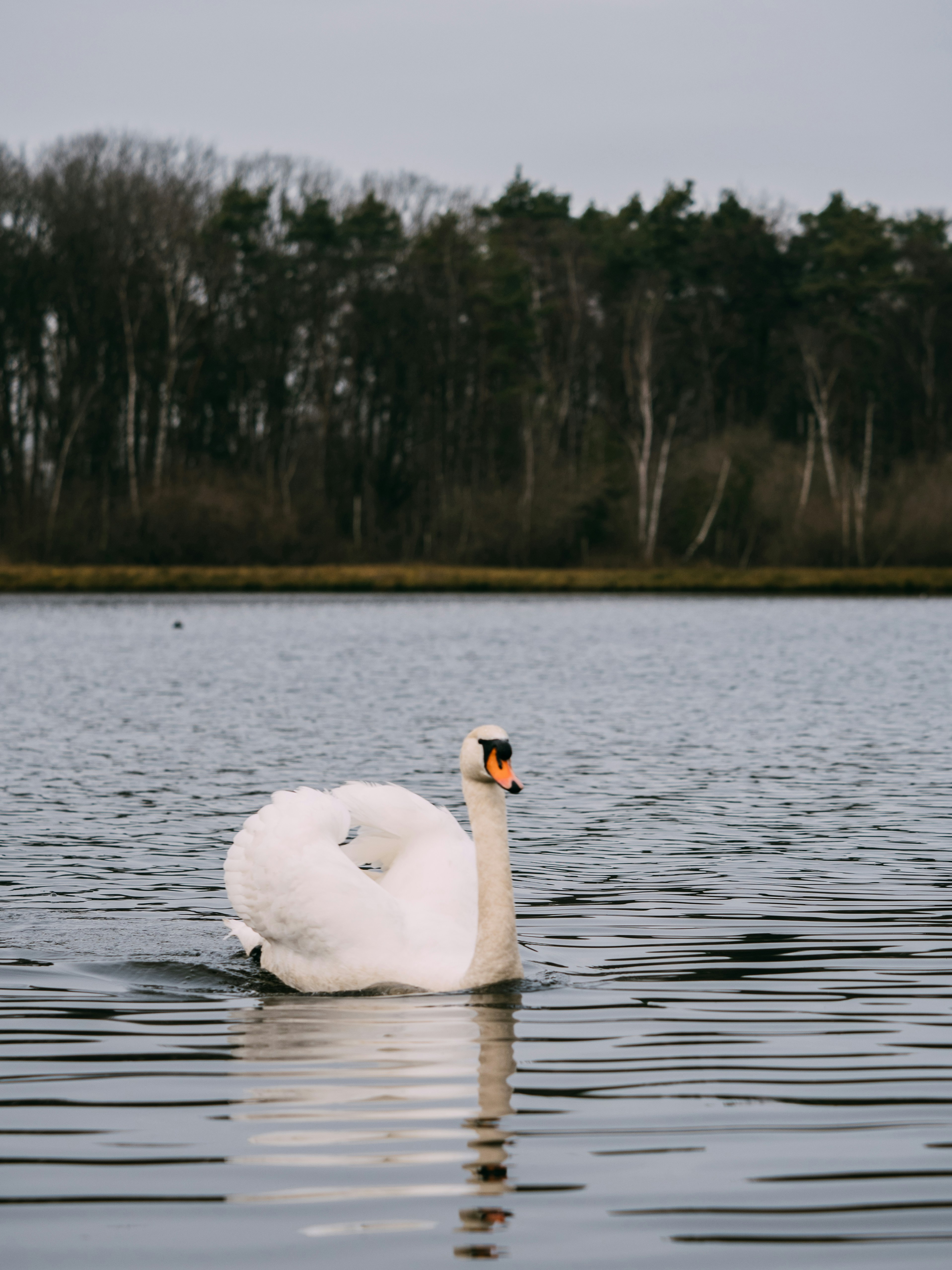 Photo by brechtdenil