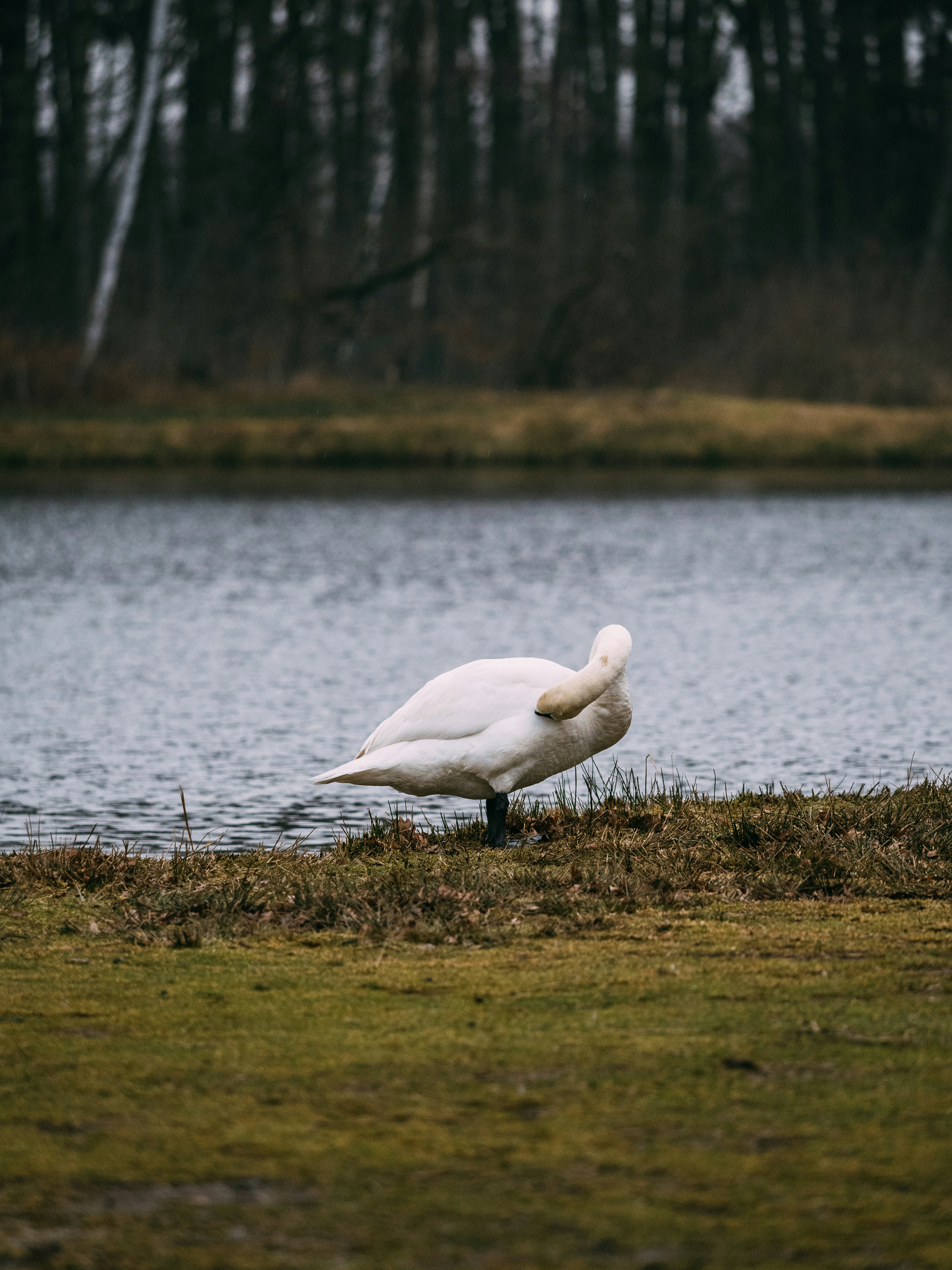 Photo by brechtdenil