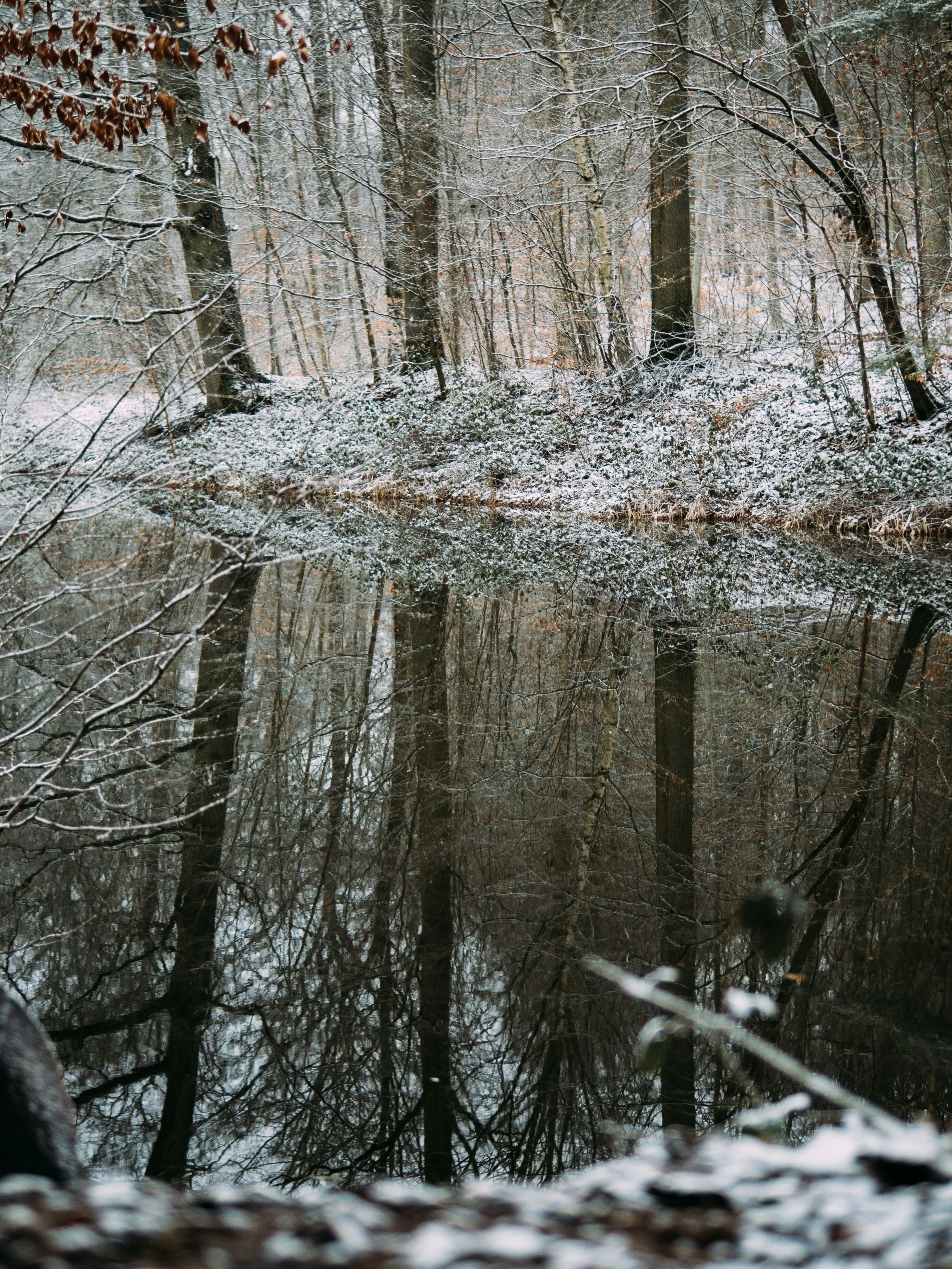 Photo by brechtdenil