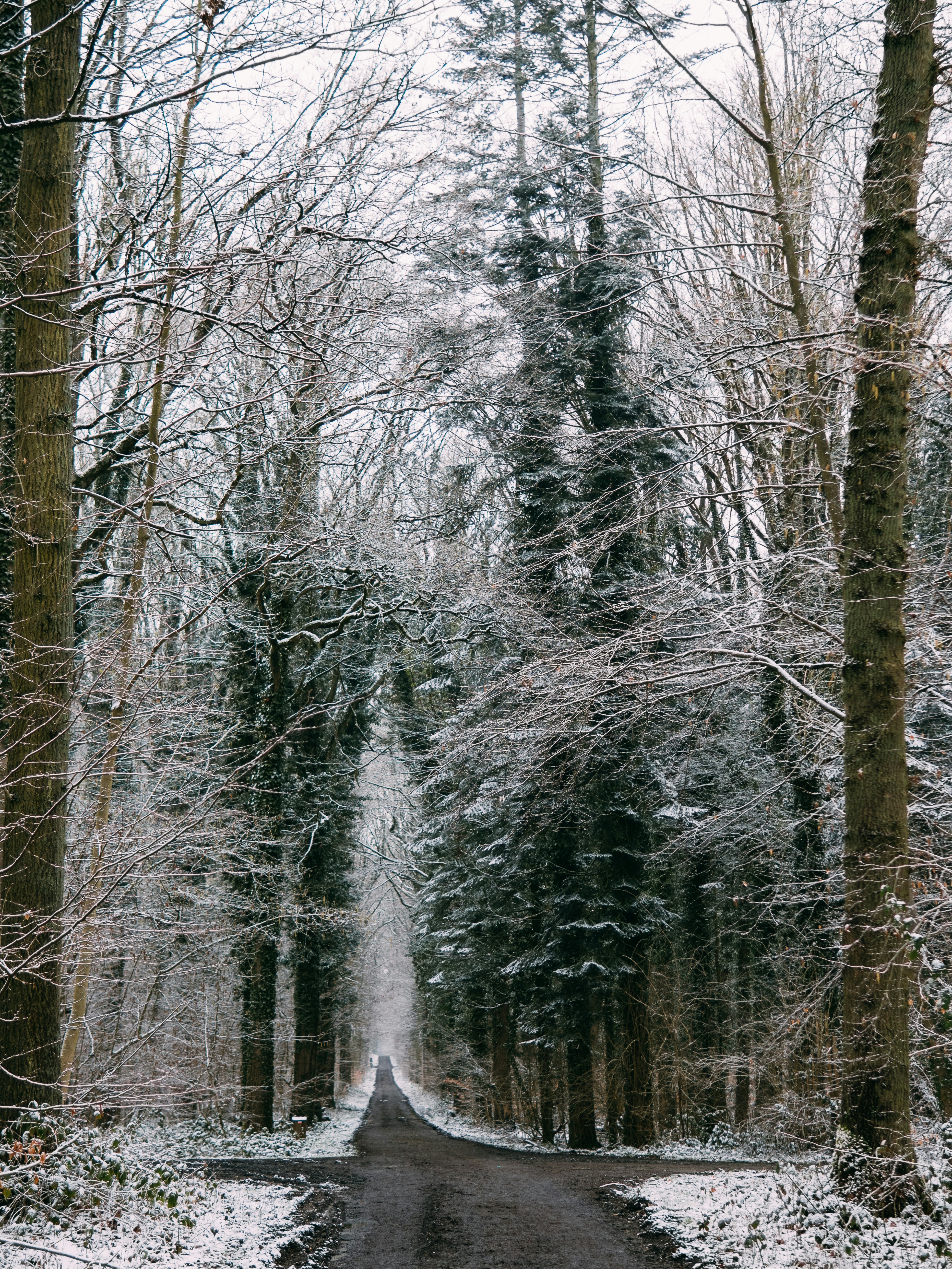 Photo by brechtdenil