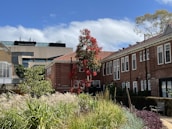 A landscaped area with lush greenery and ornamental grasses is in the foreground, leading to a row of red-brick buildings with white-framed windows. A tree with vibrant red foliage stands prominently near the center. In the background, a modern building with a grey and glass exterior is visible under a partly cloudy sky.