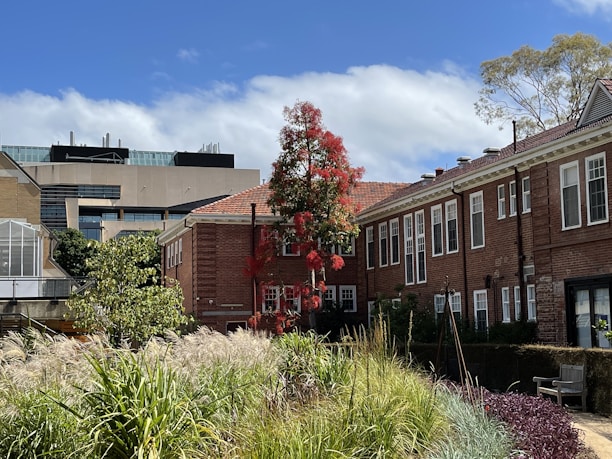 A landscaped area with lush greenery and ornamental grasses is in the foreground, leading to a row of red-brick buildings with white-framed windows. A tree with vibrant red foliage stands prominently near the center. In the background, a modern building with a grey and glass exterior is visible under a partly cloudy sky.