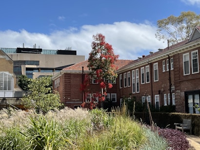 A landscaped area with lush greenery and ornamental grasses is in the foreground, leading to a row of red-brick buildings with white-framed windows. A tree with vibrant red foliage stands prominently near the center. In the background, a modern building with a grey and glass exterior is visible under a partly cloudy sky.