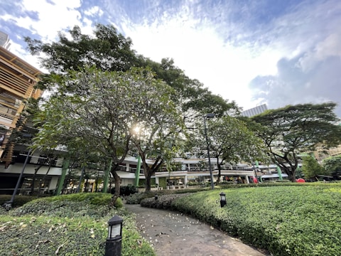 Green urban park with sustainable landscaping and clean pathways.