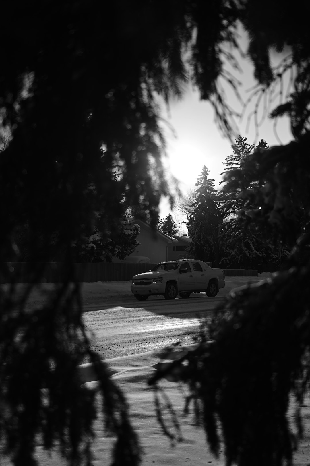 grayscale photo of car on road between trees