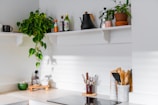 A kitchen countertop with stylish jars, a wooden cutting board, and fresh herbs in a small pot.