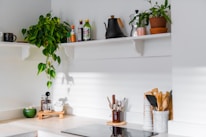 A bright kitchen countertop featuring natural home cleaning bottles and fresh herbs.