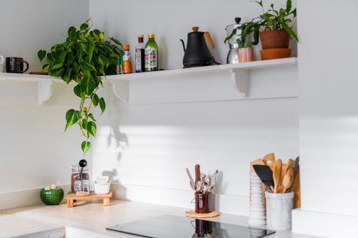 A kitchen countertop featuring a variety of items including a green plant, bottles, a black kettle, and various kitchen utensils in containers. On the top shelf, there's a potted plant and bottles of oil and sauces. The lower area has small jars, cups, and a chopping board.
