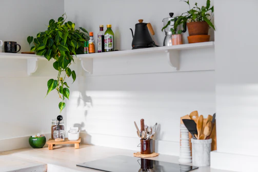 A bright kitchen countertop with eco-friendly cleaning products arranged neatly beside a small potted plant.