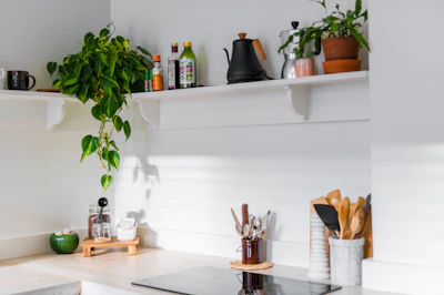 A cozy kitchen countertop featuring everyday household essentials like cleaning sprays, sponges, and storage containers.