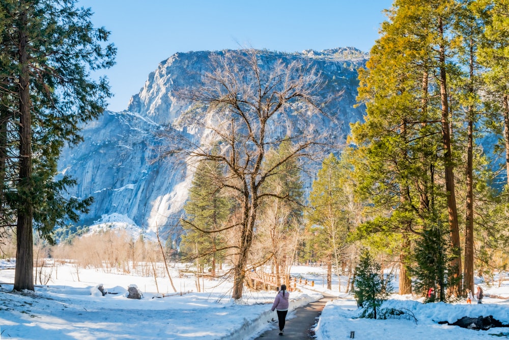 person in black jacket and black pants walking on snow covered ground near brown trees during