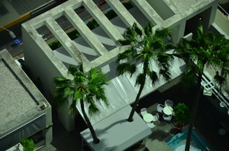 A rooftop view features several tall palm trees beside a structure with a modern, concrete architectural design, including an open roof section with cut-outs. There is a small seating area with round tables and white chairs. Nearby, a pool with blue water is partially visible, adding to the relaxed setting.
