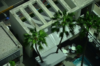 A rooftop view features several tall palm trees beside a structure with a modern, concrete architectural design, including an open roof section with cut-outs. There is a small seating area with round tables and white chairs. Nearby, a pool with blue water is partially visible, adding to the relaxed setting.