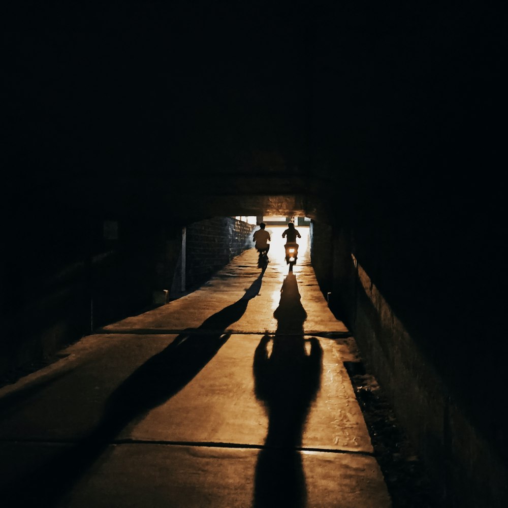 silhouette of 2 person walking on pathway during daytime