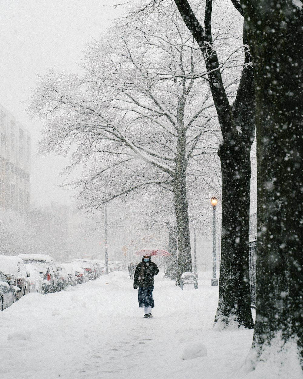 people walking on snow covered road during daytime